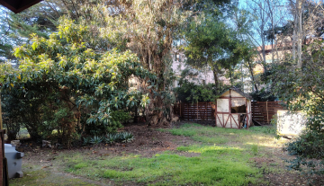 WhatsApp Image 2025-07-19 at 10.38.43.jpeg